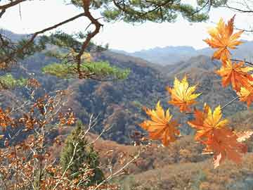 星空影视独到演员花絮深解析，带你看透