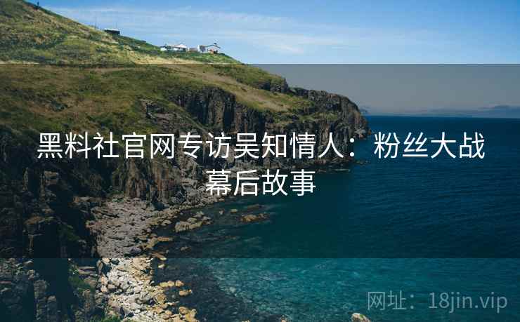 黑料社官网专访吴知情人：粉丝大战幕后故事