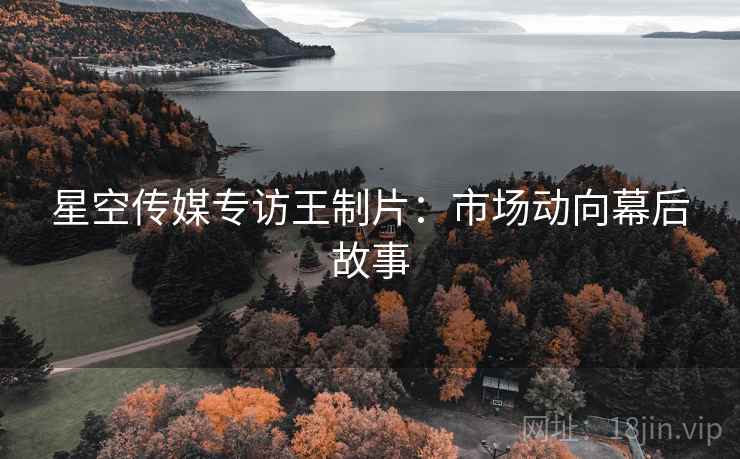 星空传媒专访王制片：市场动向幕后故事