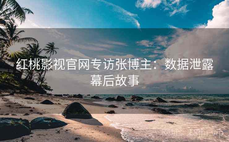 红桃影视官网专访张博主：数据泄露幕后故事